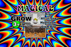 Close-up of the breathable filter on Booming Acres Mushroom Grow Bag