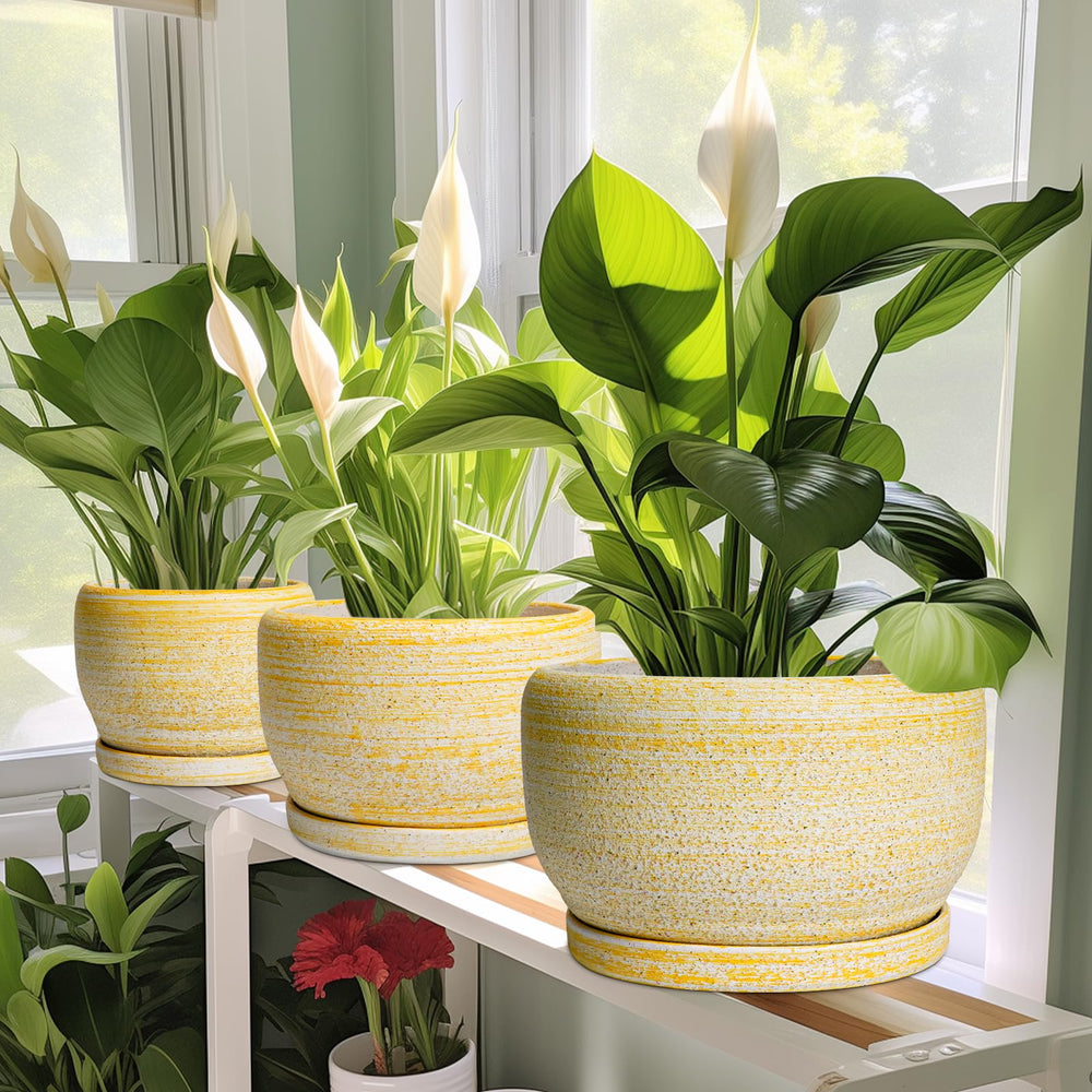 Close-up of the ceramic finish on SQOWL 10 Inch Planter
