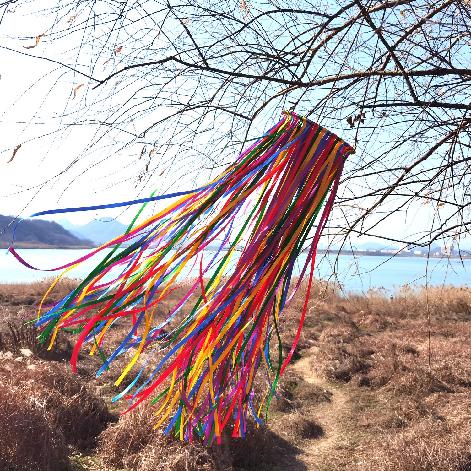 Close-up of the colorful ribbons on the EONBES Windsock Streamer