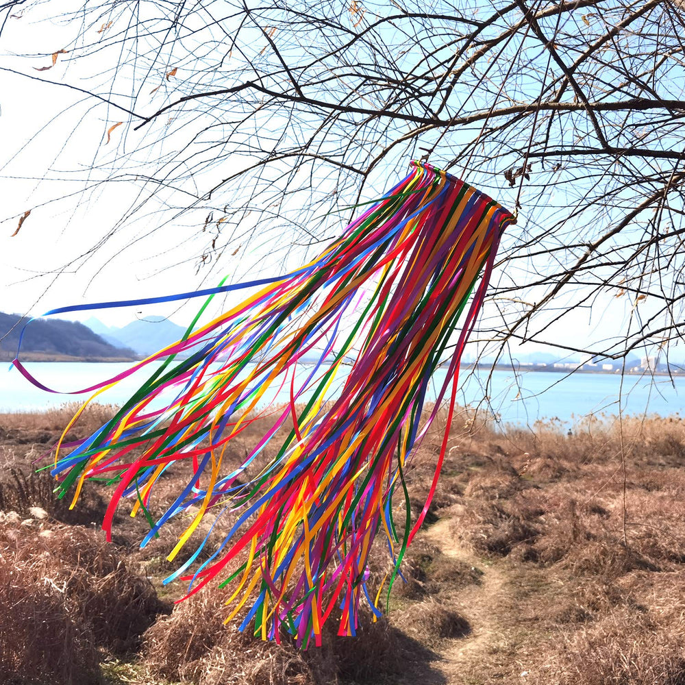 Close-up of the colorful ribbons on the EONBES Windsock Streamer