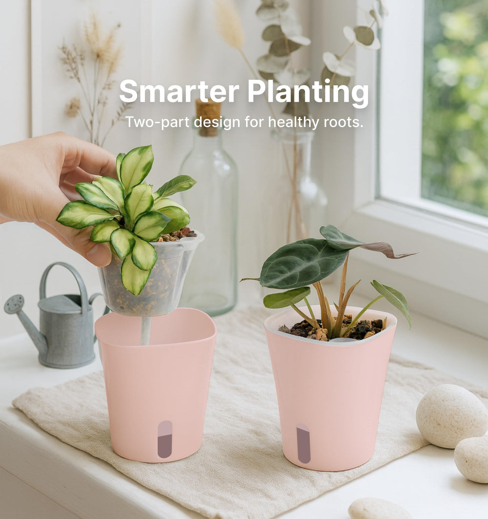 Close-up of the cotton wick system in Vandorelle self-watering pot