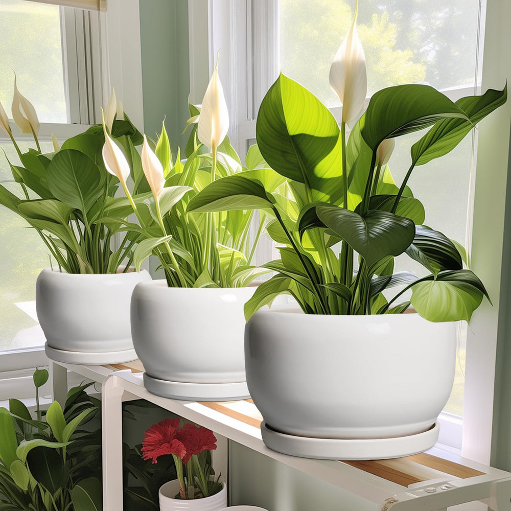 Close-up of the drainage hole in SQOWL ceramic planter
