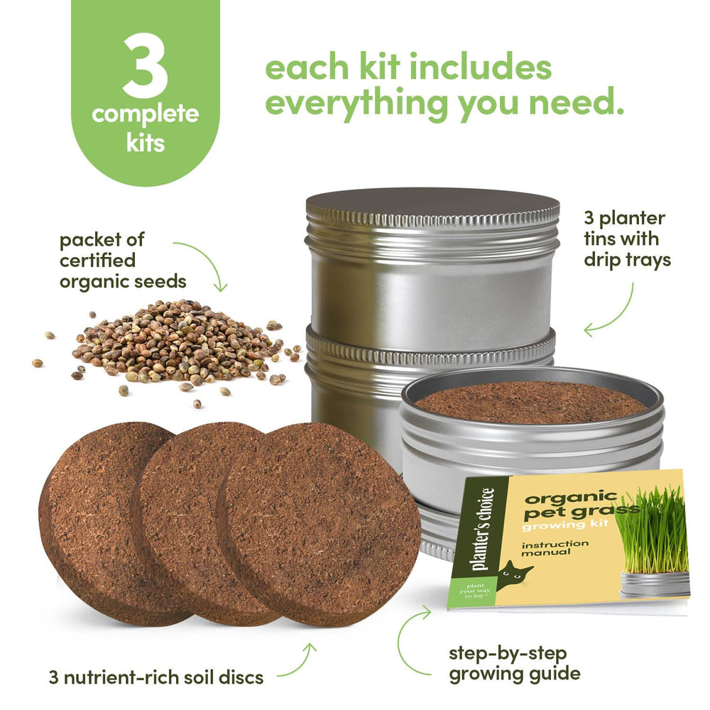 Close-up of the eco-friendly planter tins included in the cat grass kit