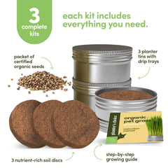 Close-up of the eco-friendly planter tins included in the cat grass kit