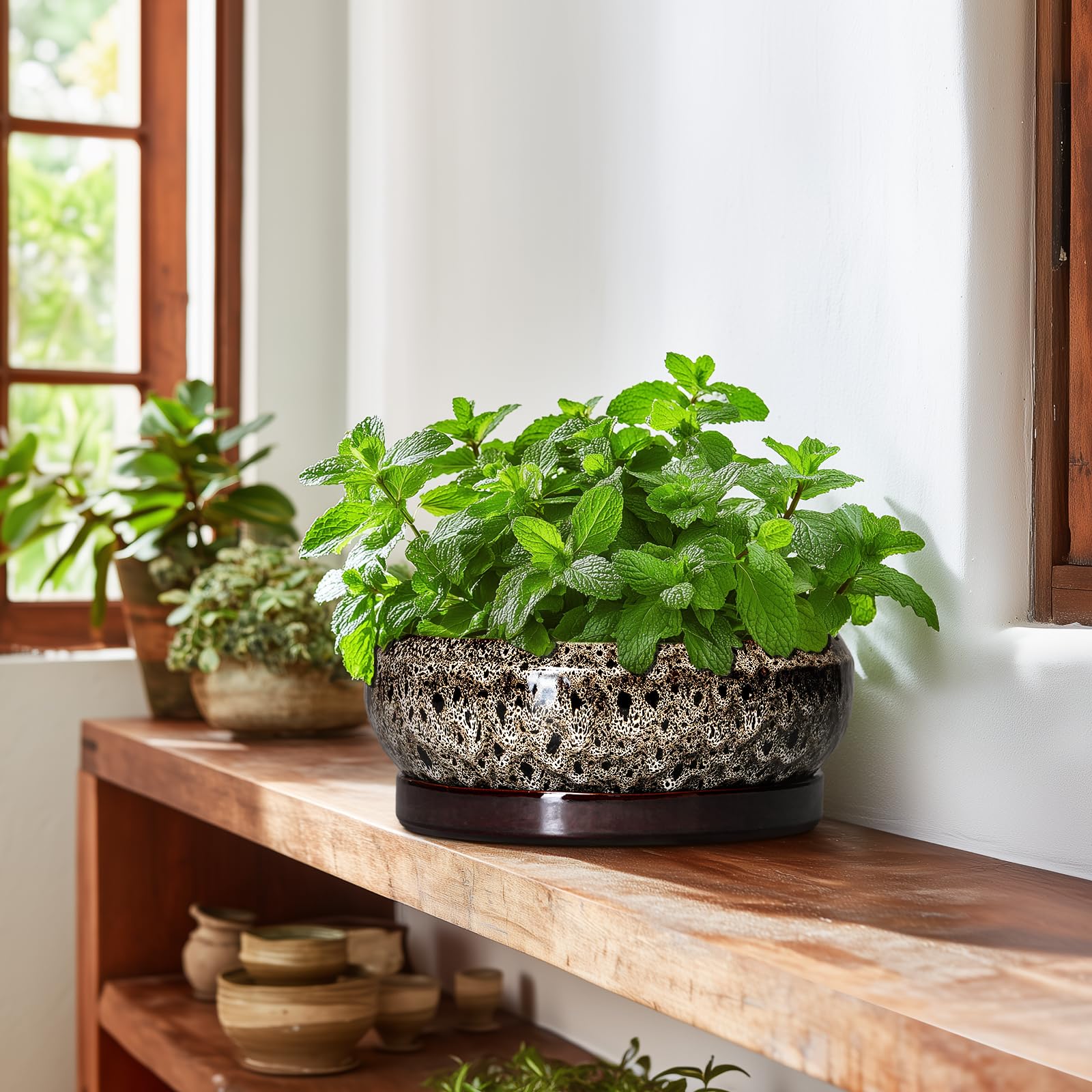 Close-up of the EPFamily ceramic pot's glazed finish
