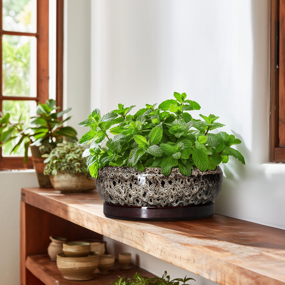 Close-up of the EPFamily ceramic pot's glazed finish