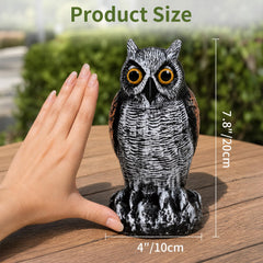 Close-up of the expressive eyes of OFFO owl statue