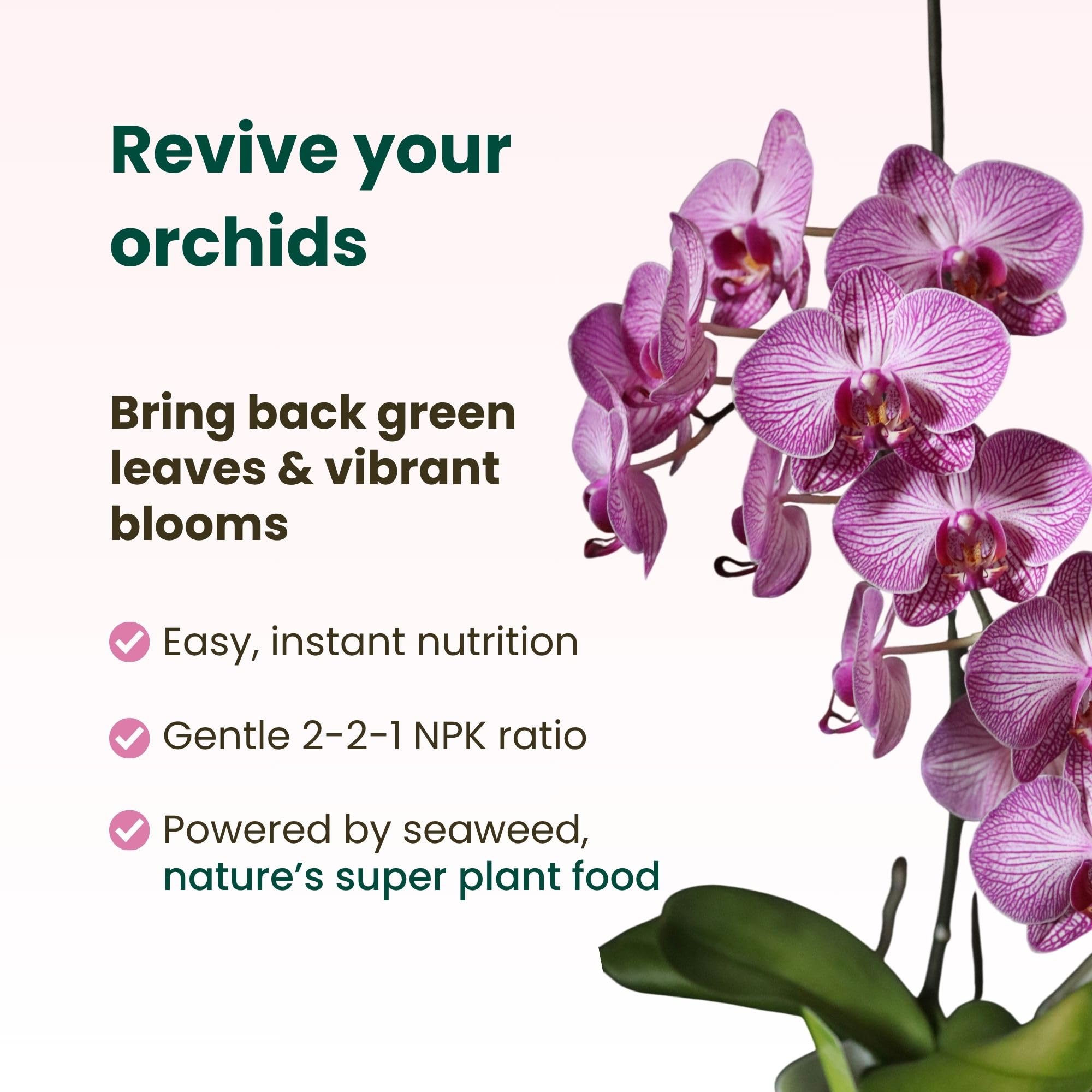 Close-up of The Green Alcove orchid food spray bottle