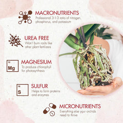 Close-up of The Grow Co Orchid Plant Food granules