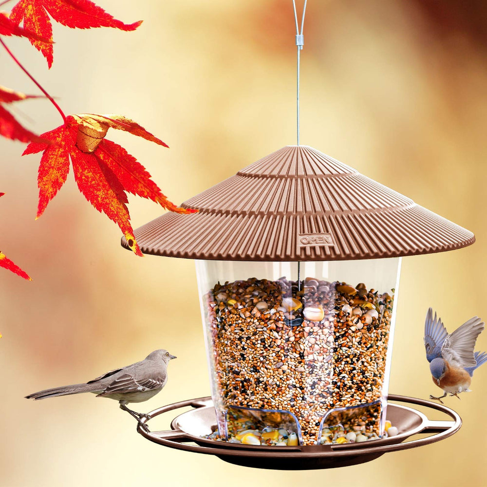 Close-up of the Hanizi Bird Feeder tray