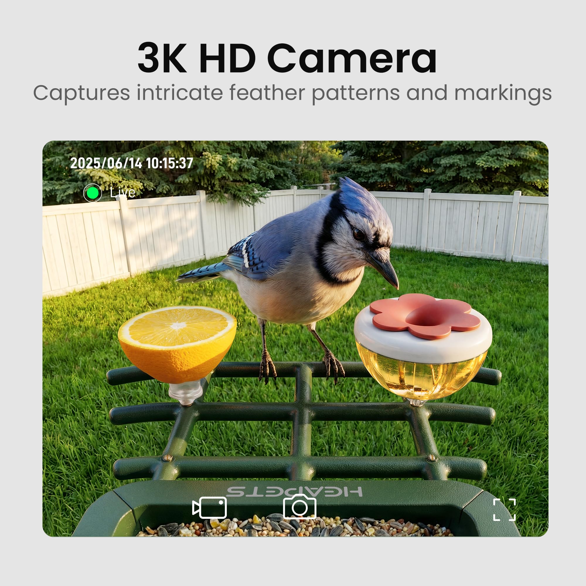 Close-up of the HEAPETS Smart Bird Feeder camera and solar panel