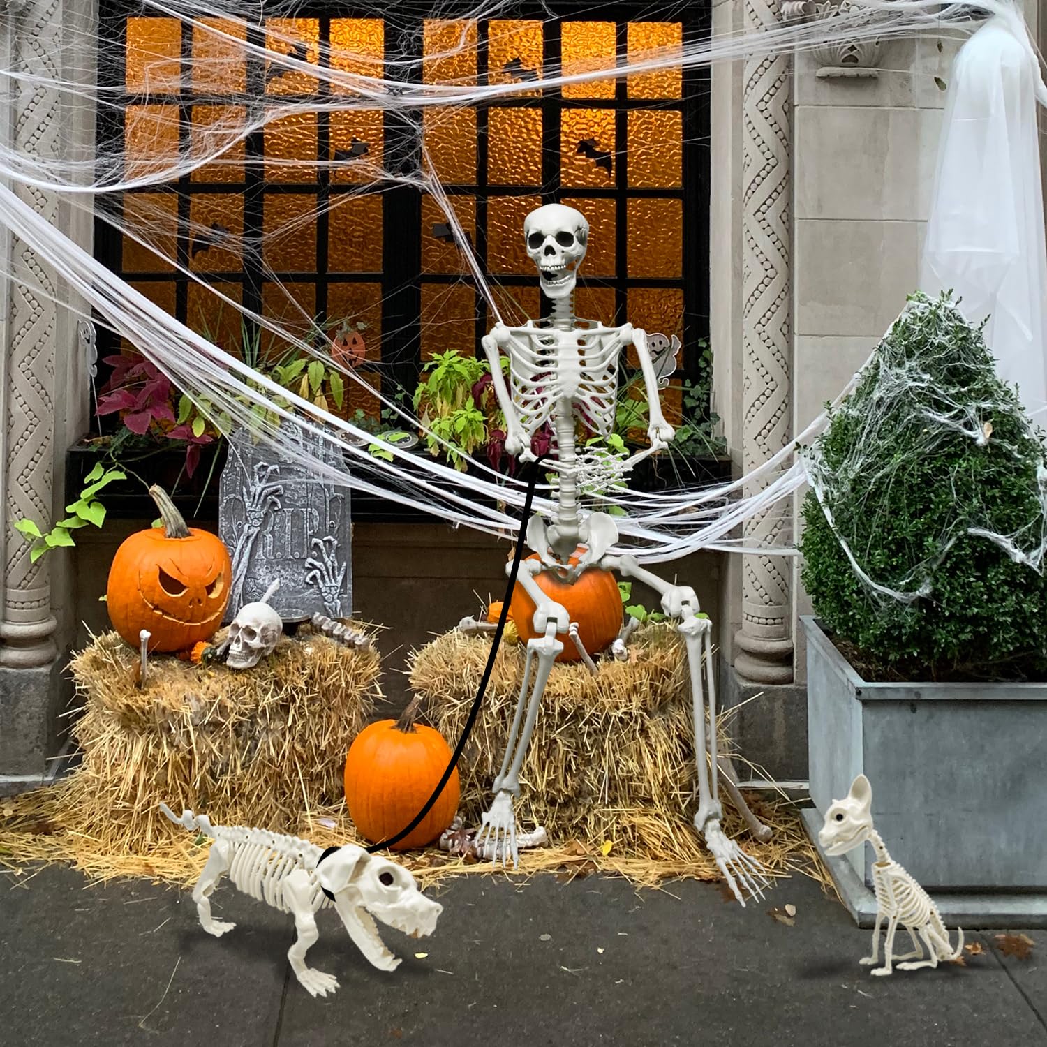 Close-up of the human skeleton from WODMAZ Halloween set