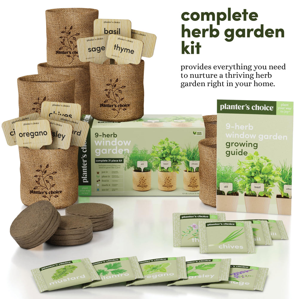 Close-up of the included herb seeds in Planters' Choice kit