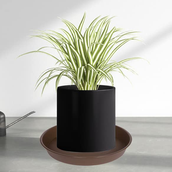 Close-up of the matte finish on Bleuhome 6 inch plant saucer