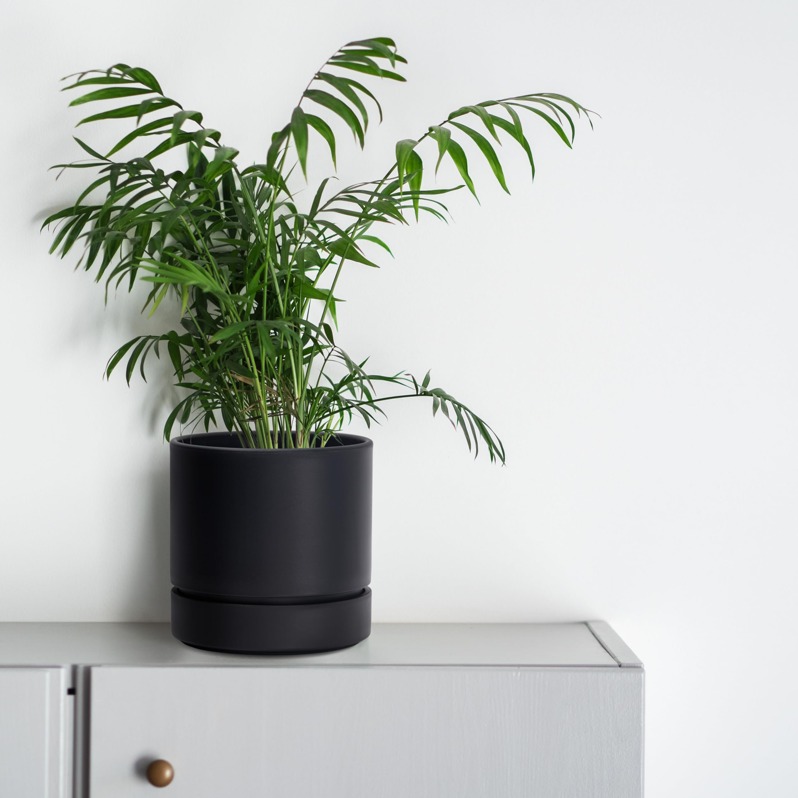 Close-up of the matte finish on Phoenix Vine 6 Inch Planter Pot
