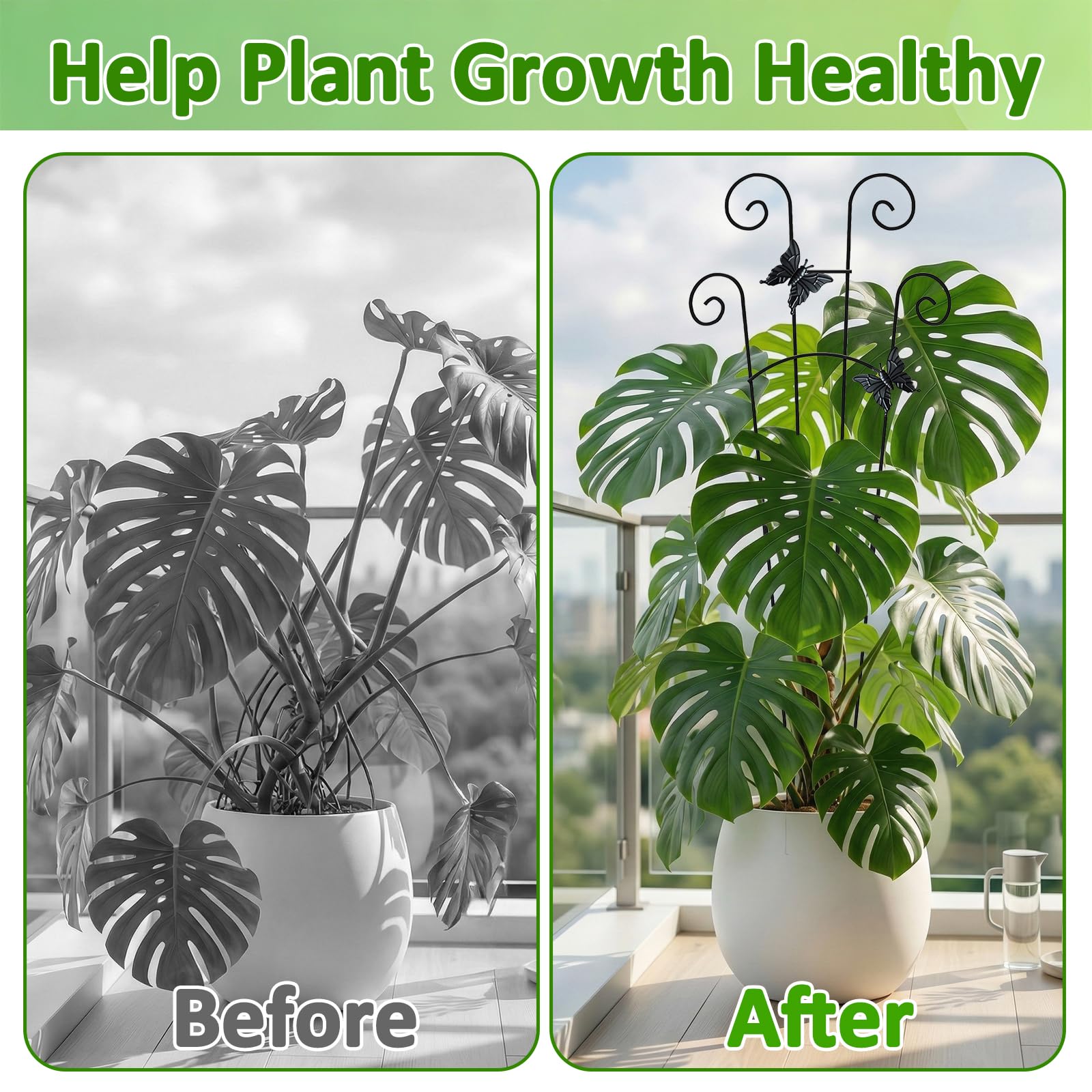 Close-up of the minimalist design of LLCJYYCY plant support