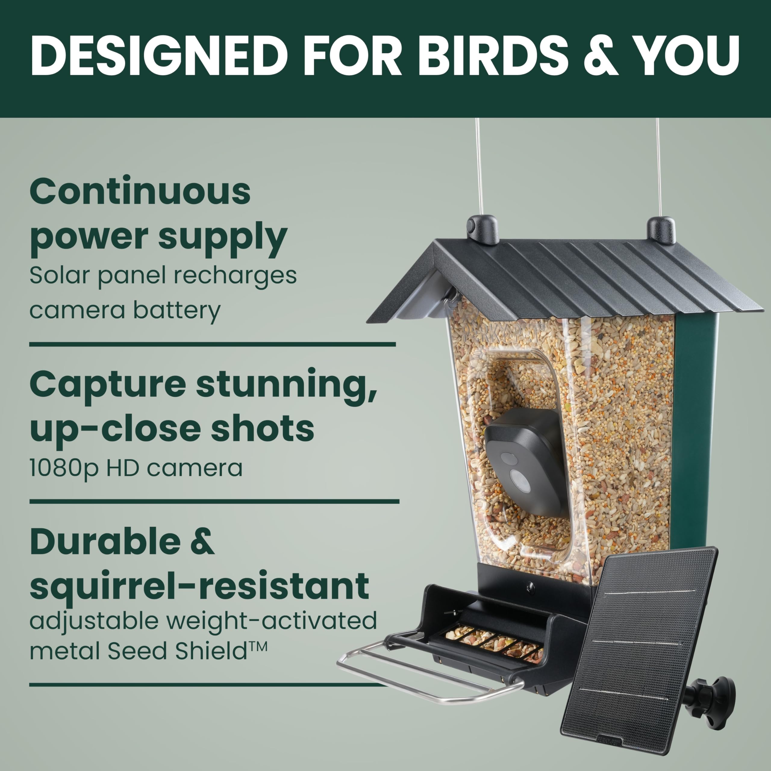 Close-up of the motion-activated camera on the bird feeder