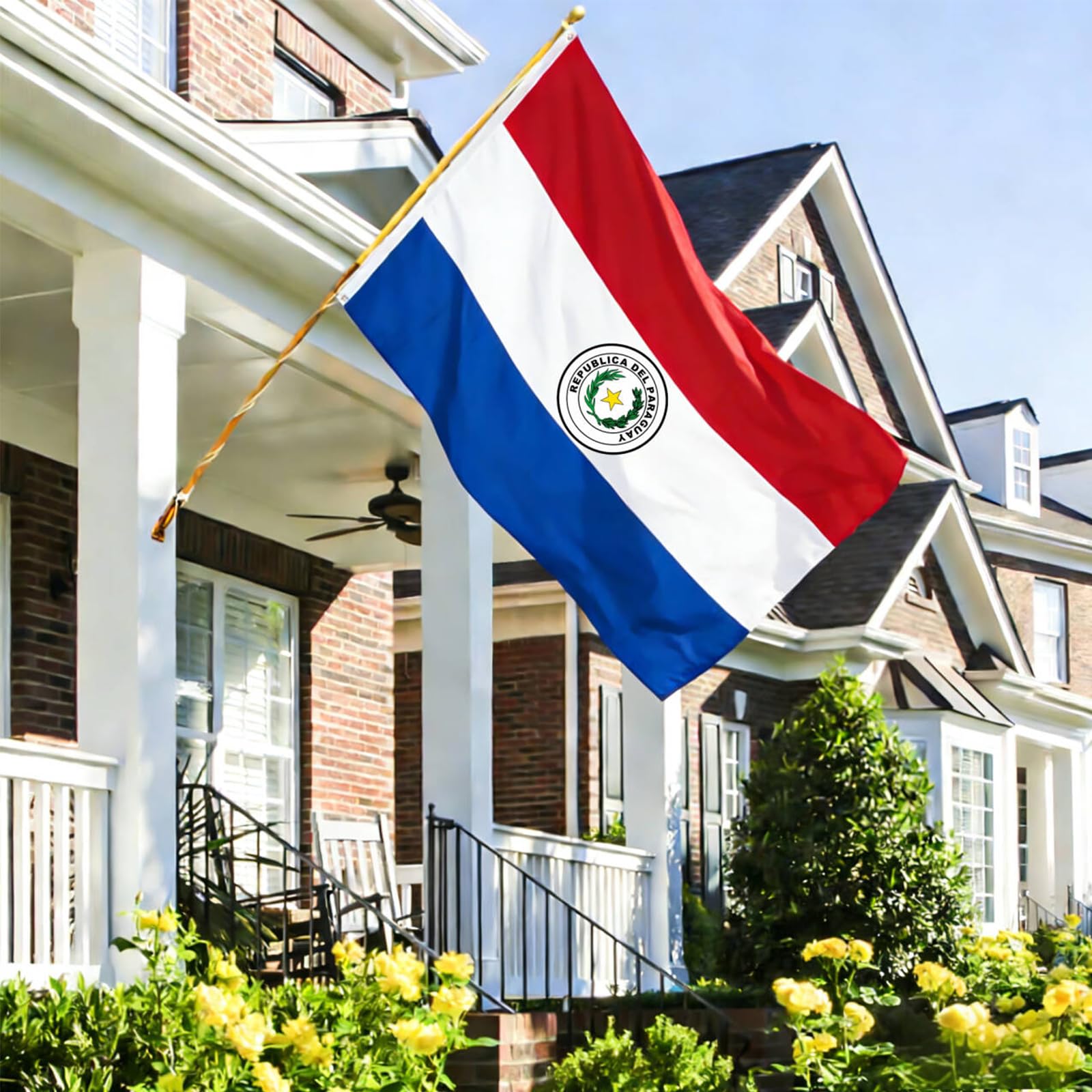 Close-up of the national coat of arms on Paraguay Flag