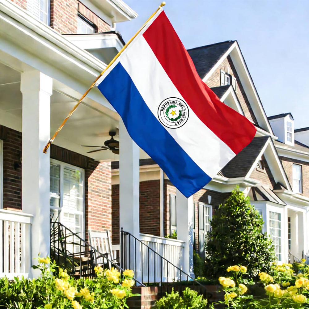 Close-up of the national coat of arms on Paraguay Flag