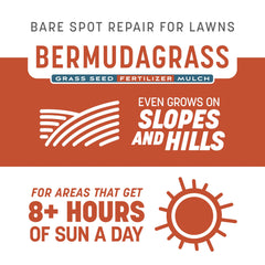 Close-up of the Pennington Bermuda Grass Seed with fertilizer