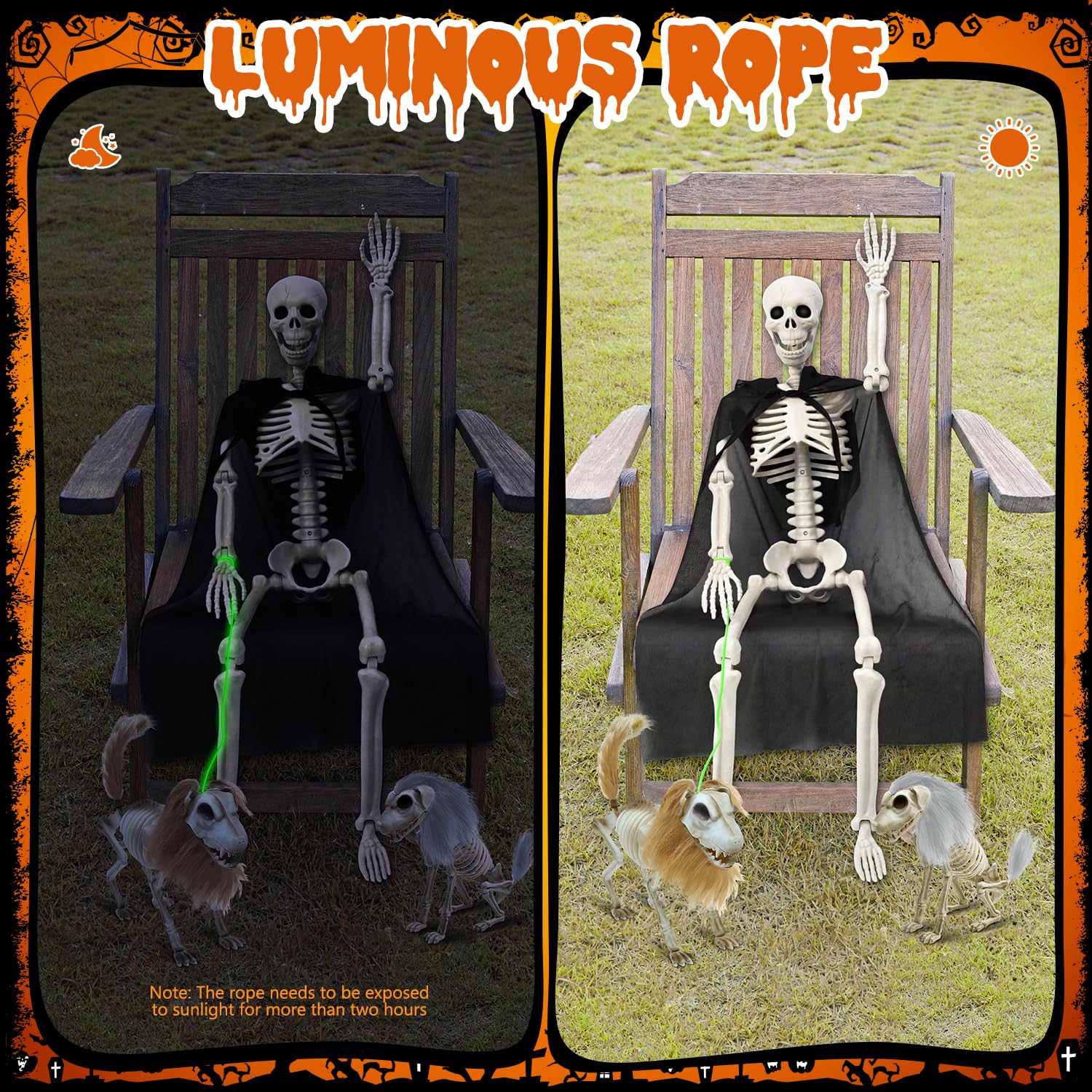 Close-up of the posable joints on the skeletons