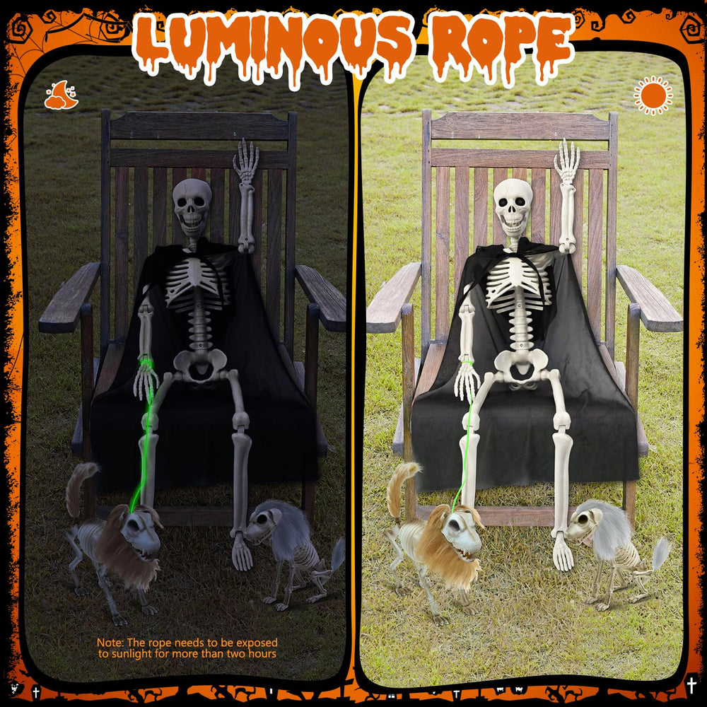 Close-up of the posable joints on the skeletons