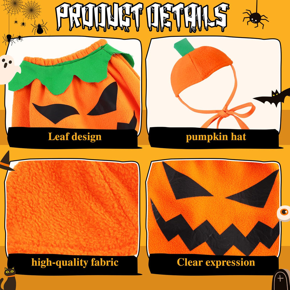Close-up of the pumpkin expression on the goose outfit