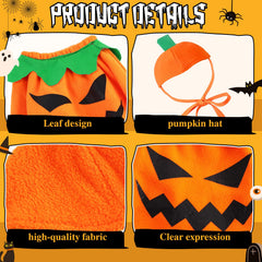 Close-up of the pumpkin expression on the goose outfit