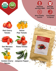 Close-up of the Red Heirloom Tomato seeds in the kit