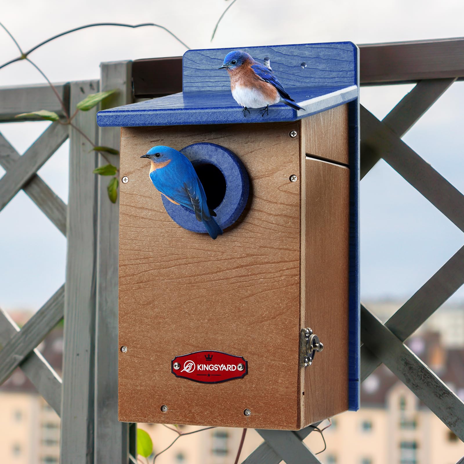 Close-up of the reinforced entrance guard on Kingsyard Bluebird House