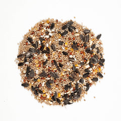 Close-up of the seeds in Wagner's Eastern Regional Blend Wild Bird Food