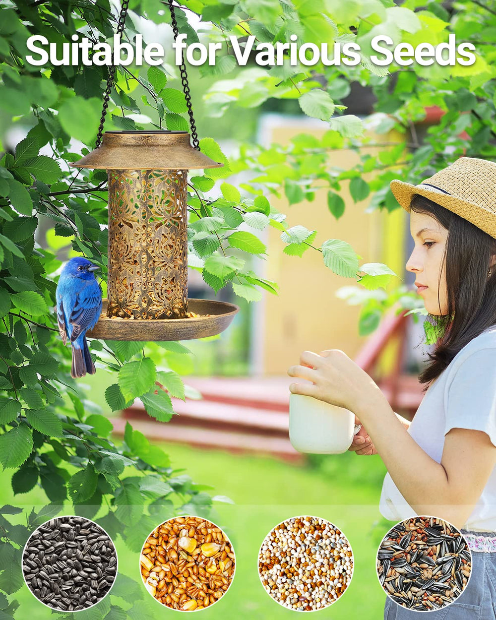 Close-up of the solar panel on SWEETFULL bird feeder