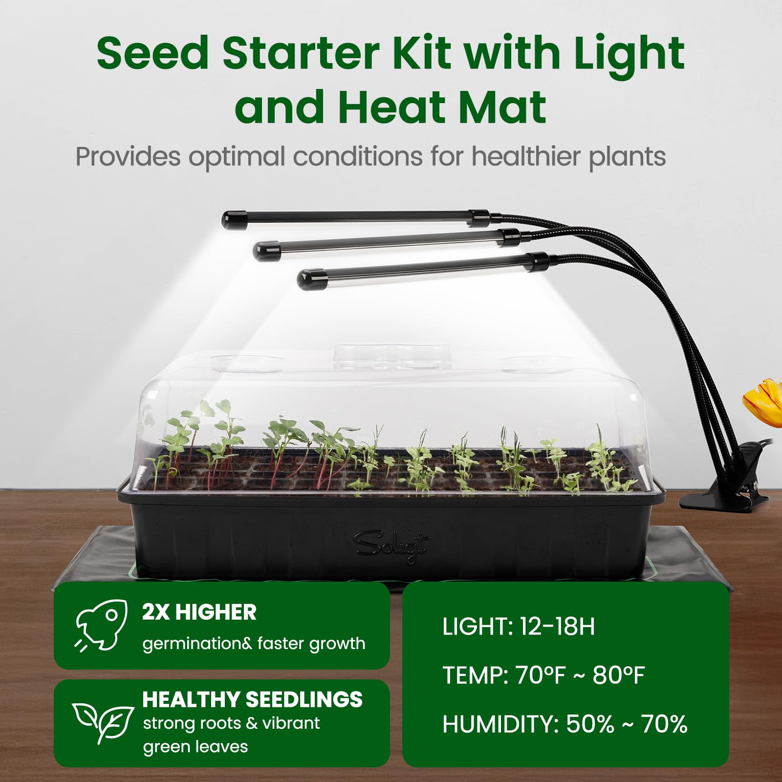 Close-up of the SOLIGT seedling tray with humidity dome