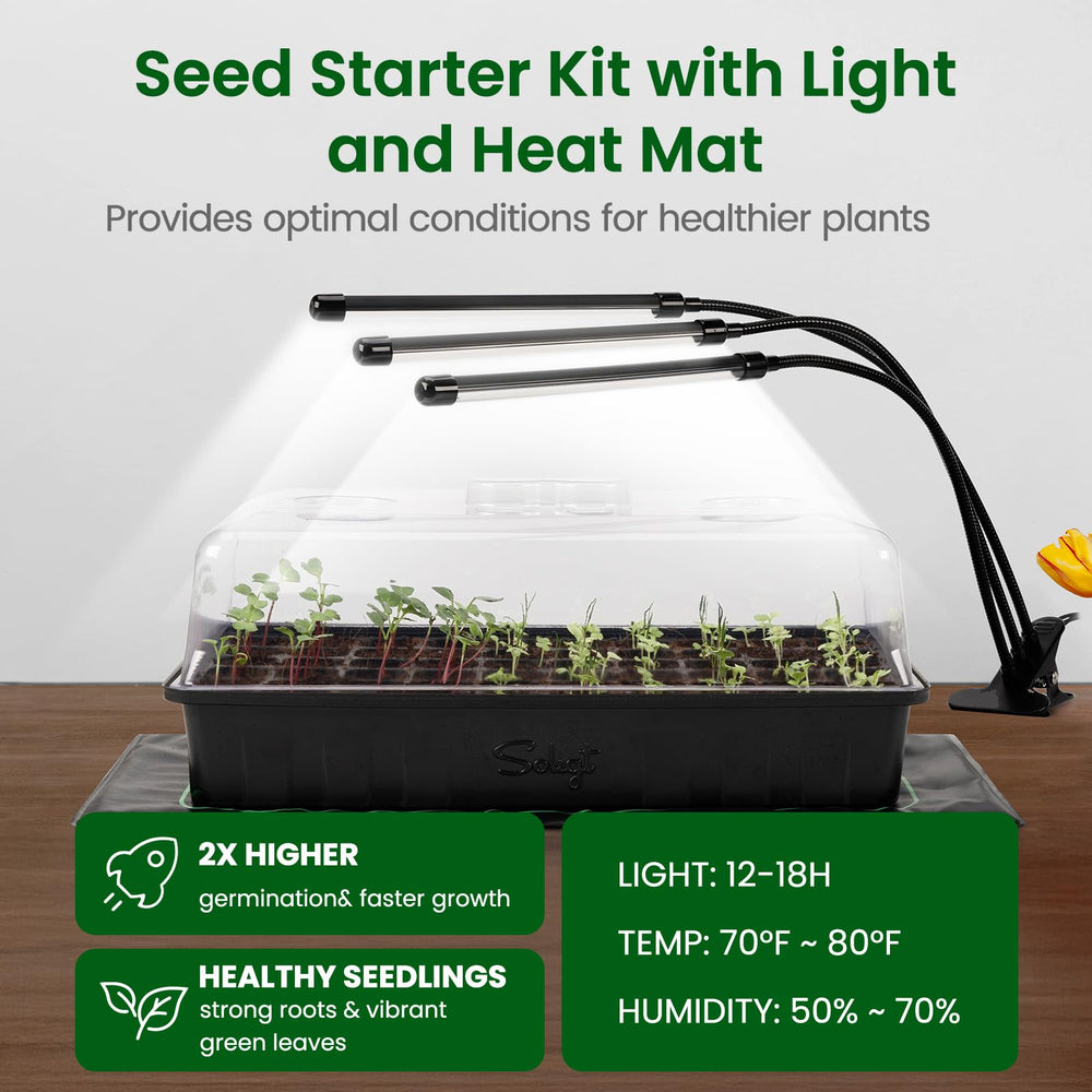 Close-up of the SOLIGT seedling tray with humidity dome