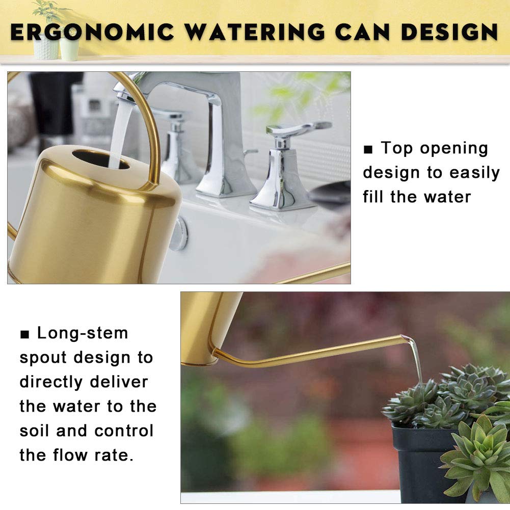 Close-up of the spout of REMIAWY stainless steel watering can
