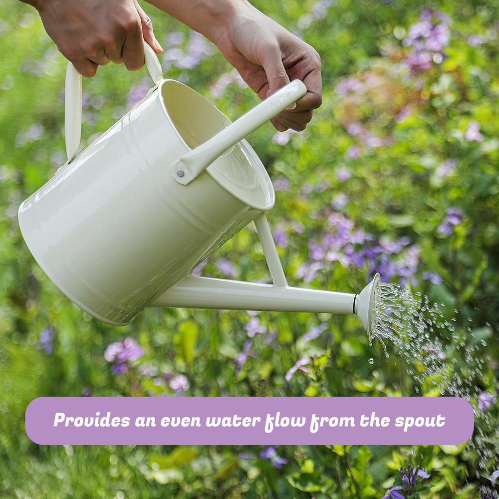 Close-up of the spout of Stdemarzo watering can