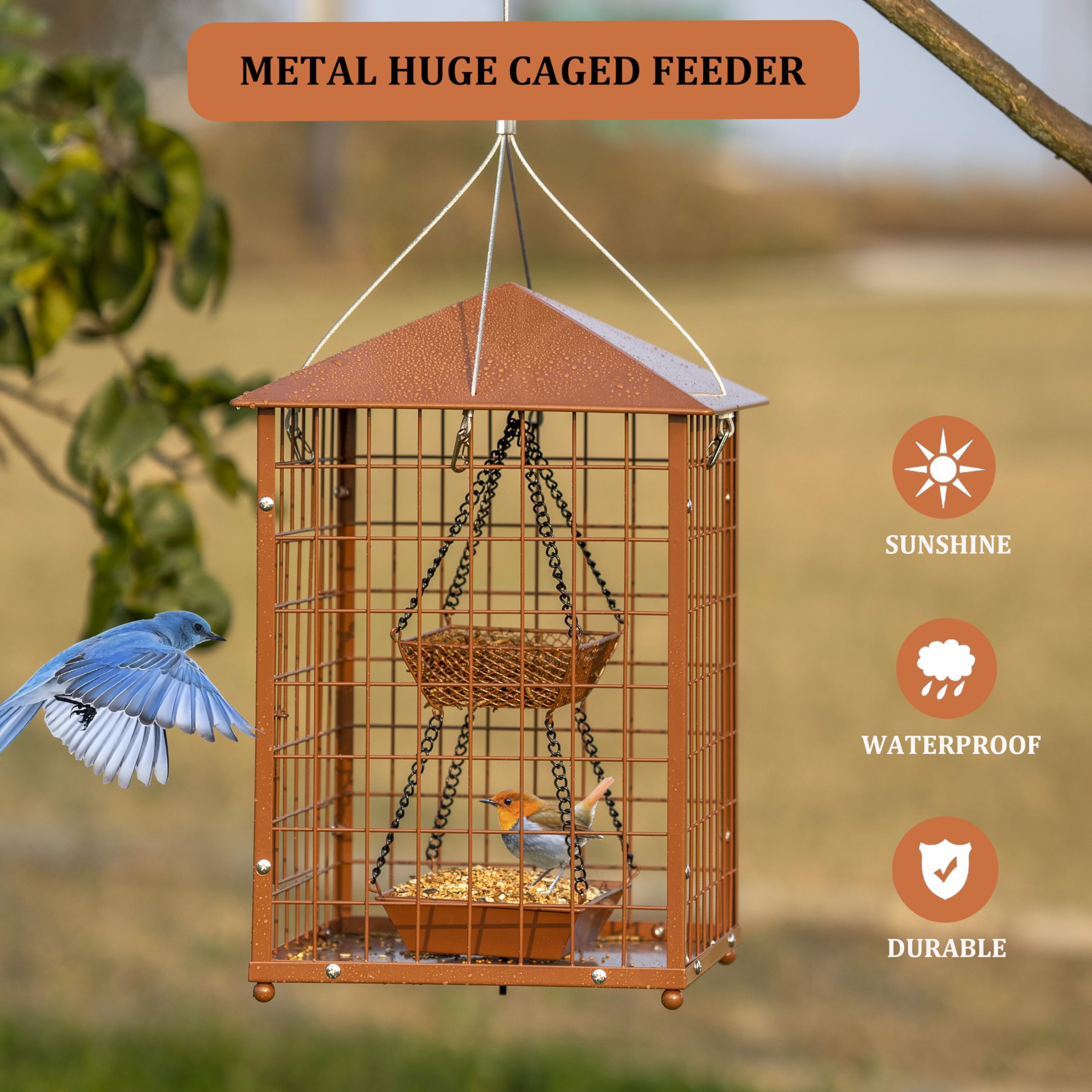 Close-up of the tray and seed cup of Mosloly Bird Feeder