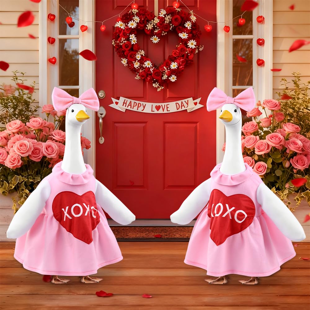 Close-up of the Valentine-themed goose costume