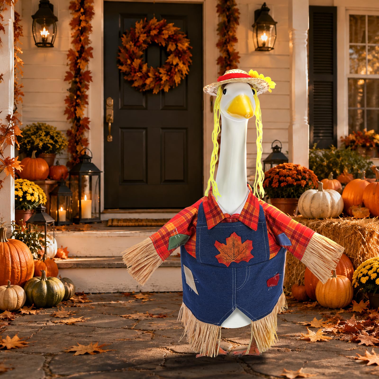 Close-up of the vibrant scarecrow design on the goose outfit