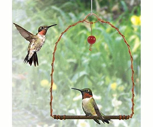 Close-up of the wooden perch and copper frame of the hummingbird swing