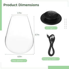 Close-up of Tideme Mini Desktop Glass Plant Terrarium ventilation ring