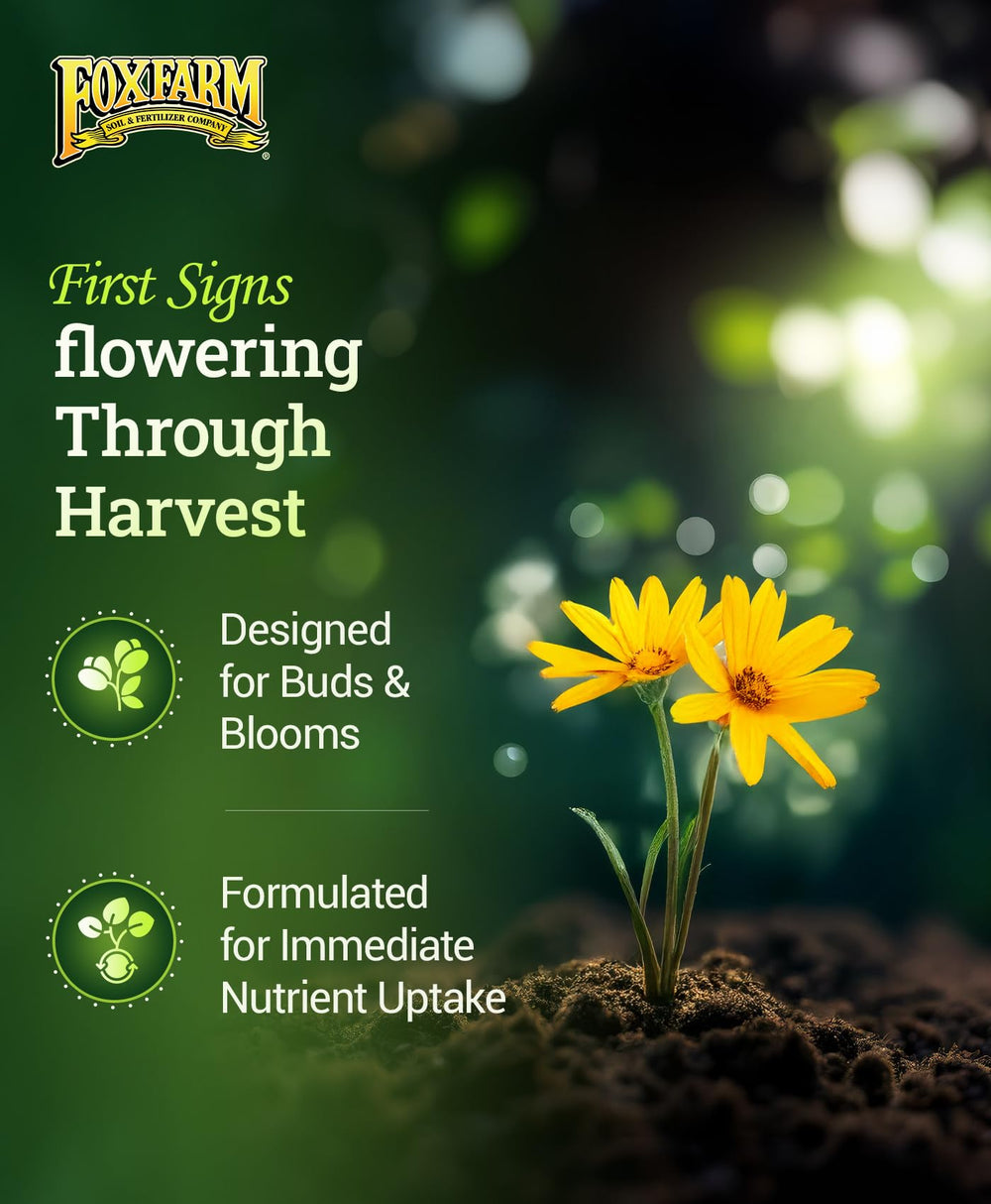 Close-up of Tiger Bloom fertilizer bottle from FoxFarm Soil Liquid Trio Pack