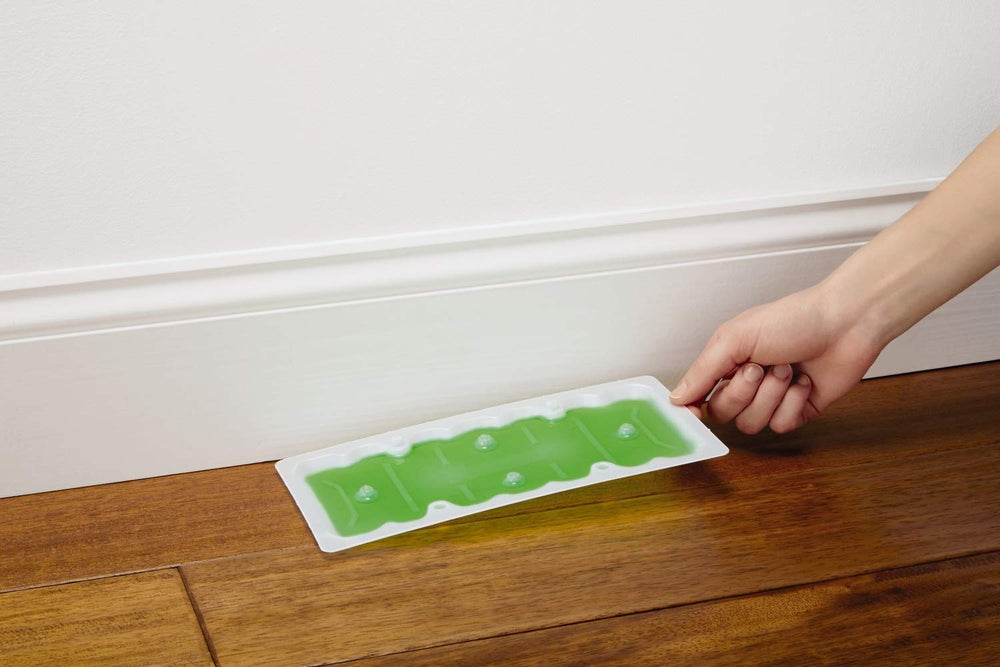 Close-up of Tomcat Super Hold Glue Trap's adhesive surface