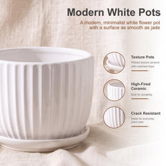 Close-up of Ton Sin White Ceramic Pot, 6.7 inches