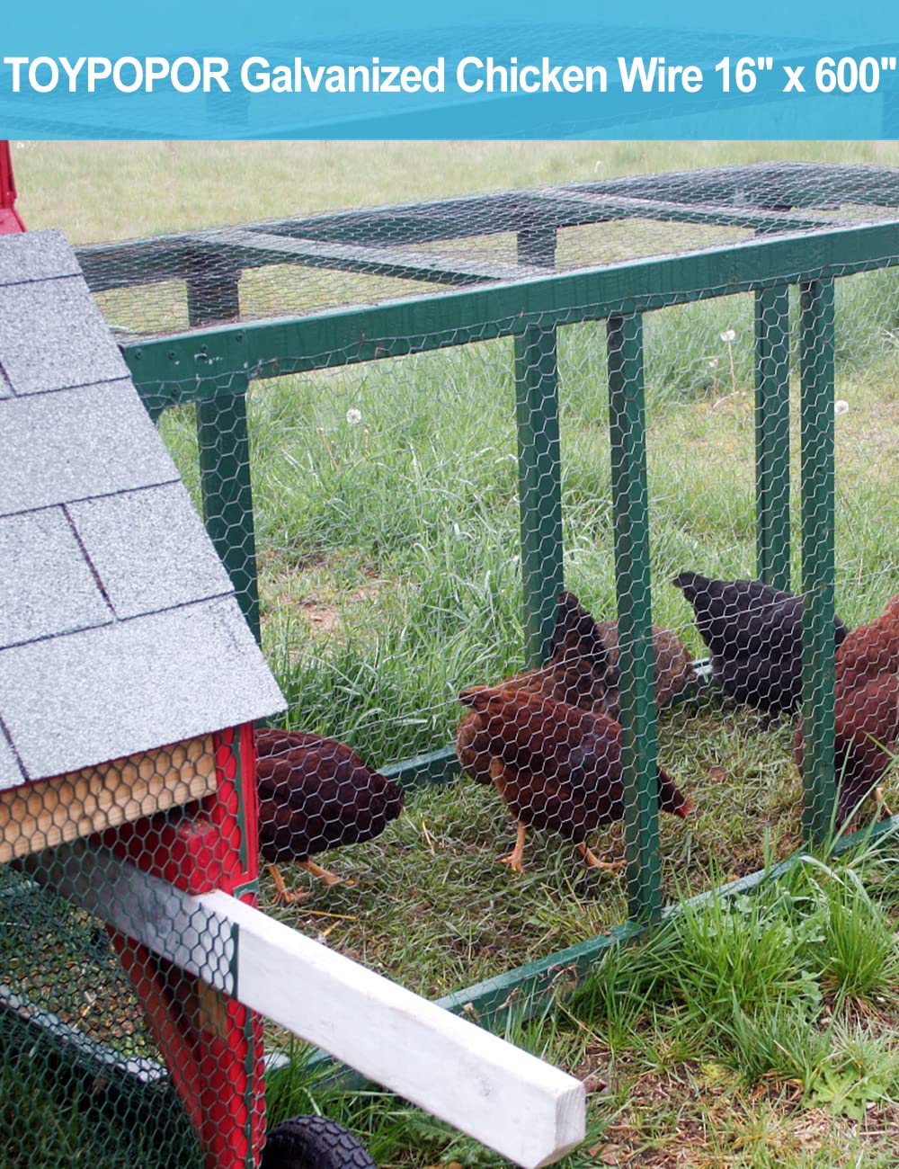 Close-up of TOYPOPOR chicken wire hexagonal mesh