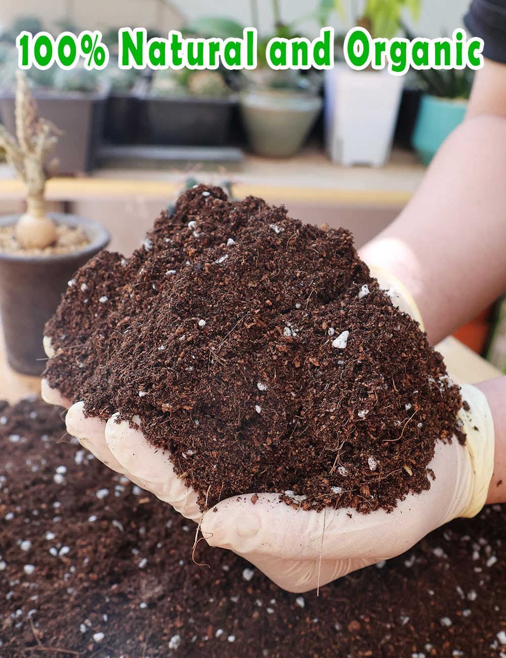 Close-up of TOYPOPOR Potting Soil showing texture