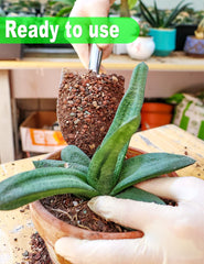 Close-up of TOYPOPOR Succulent Soil Mix granules