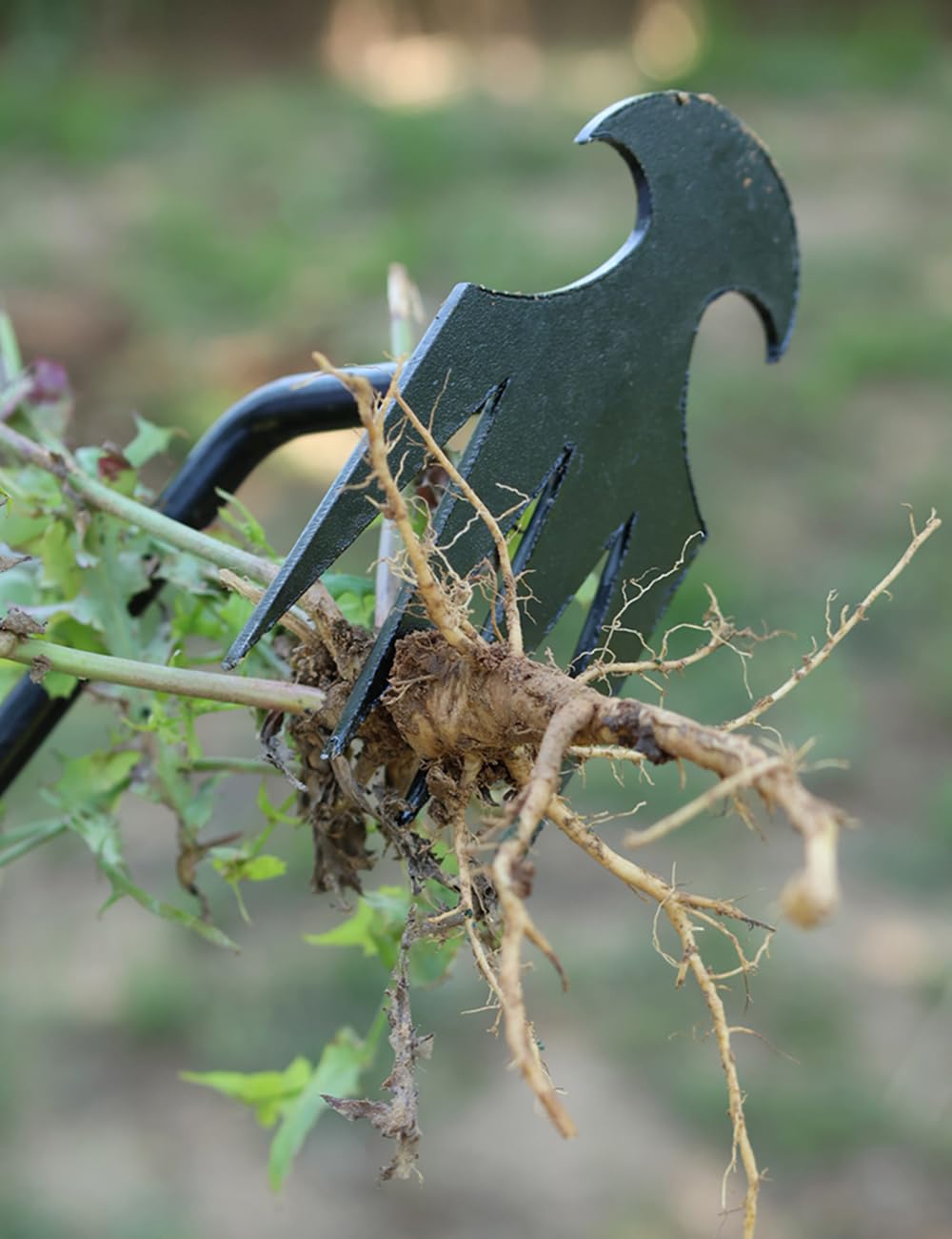 Close-up of TOYPOPOR weeding tool tines