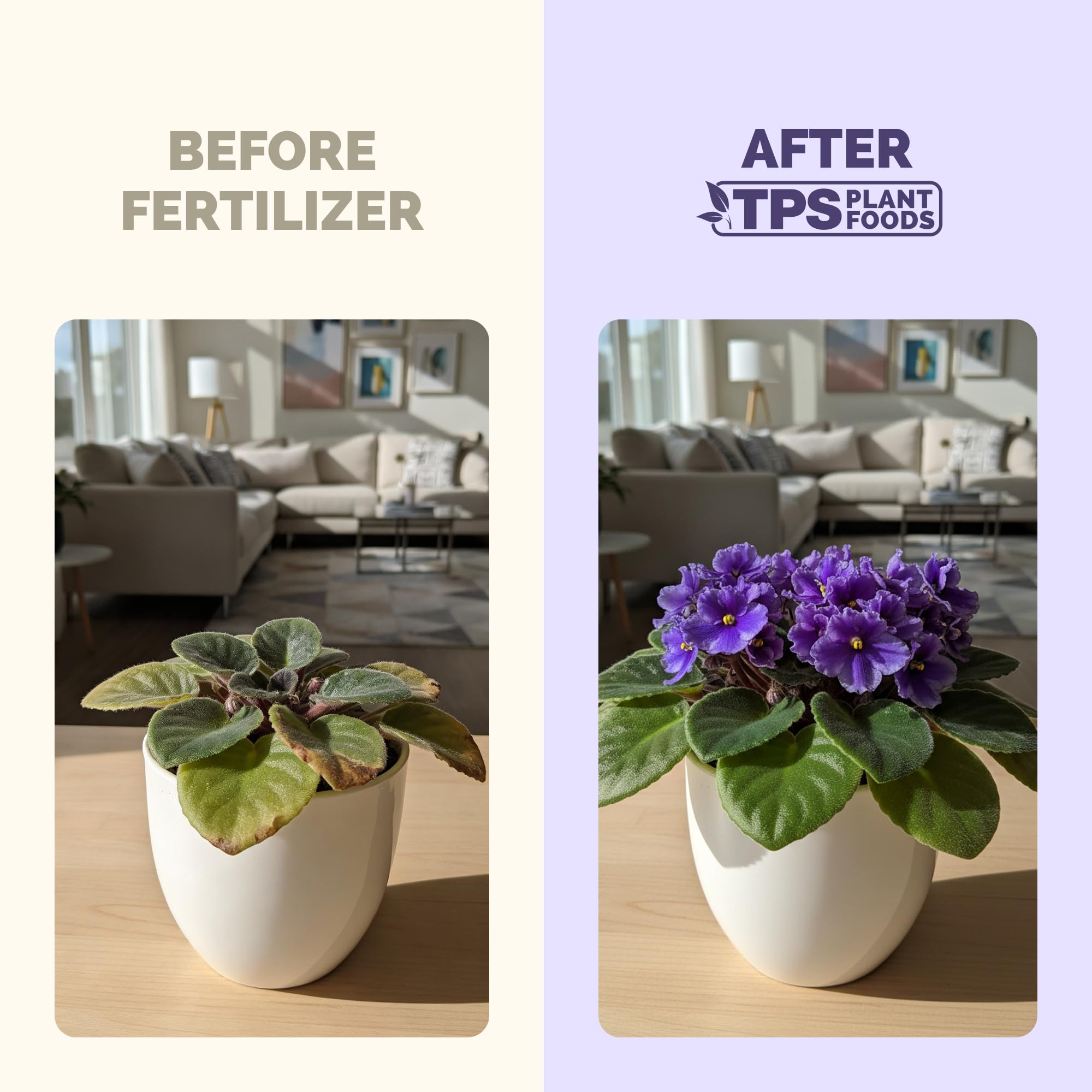 Close-up of TPS NUTRIENTS African Violet Fertilizer liquid