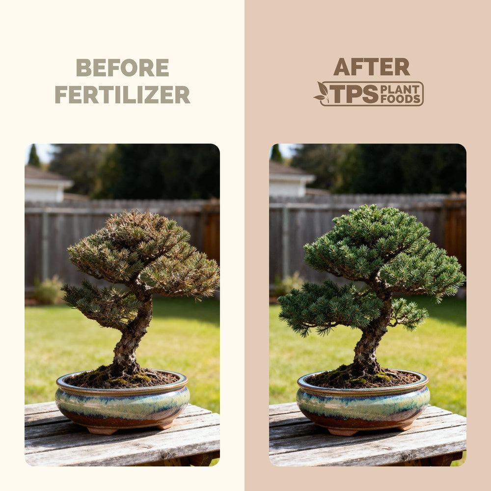 Close-up of TPS NUTRIENTS Bonsai Fertilizer liquid pour spout